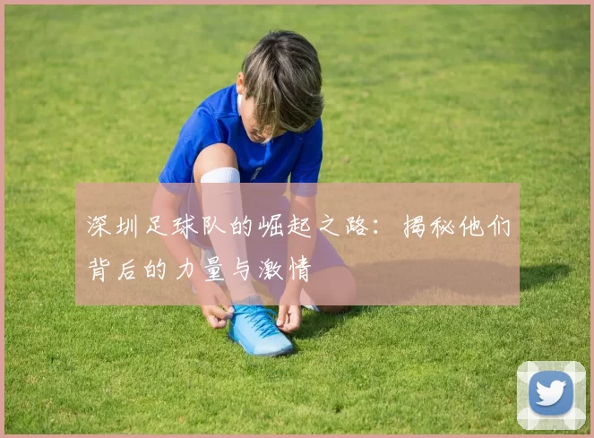 深圳足球队的崛起之路：揭秘他们背后的力量与激情