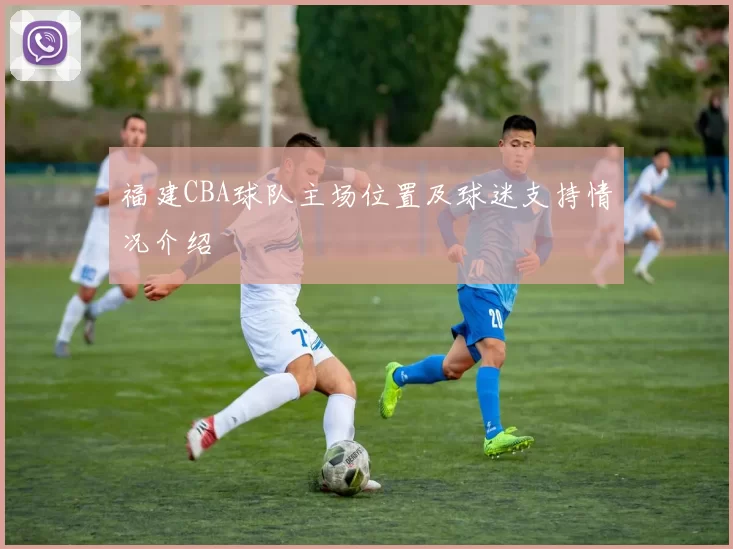 福建CBA球队主场位置及球迷支持情况介绍