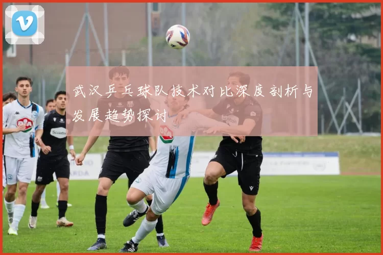 武汉乒乓球队技术对比深度剖析与发展趋势探讨