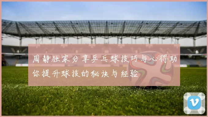 周静独家分享乒乓球技巧与心得助你提升球技的秘诀与经验