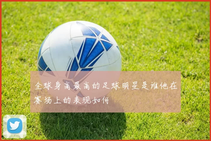 全球身高最高的足球明星是谁他在赛场上的表现如何