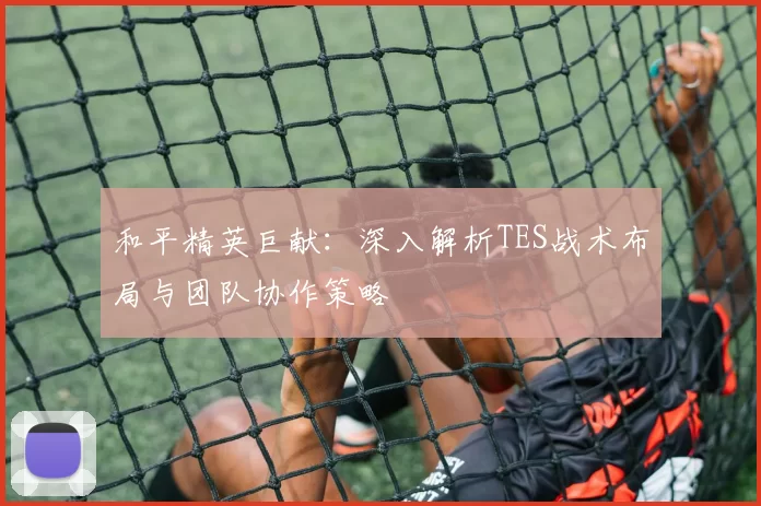 和平精英巨献：深入解析TES战术布局与团队协作策略