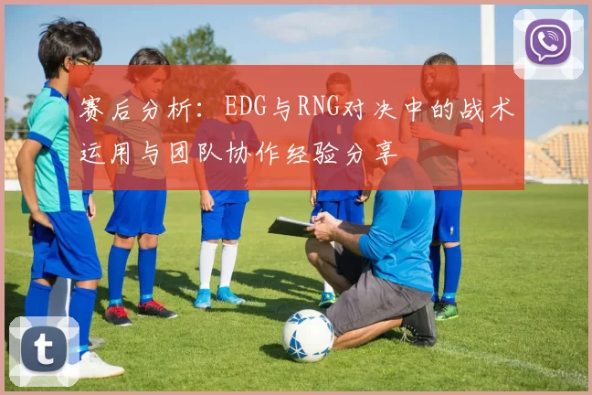 赛后分析：EDG与RNG对决中的战术运用与团队协作经验分享