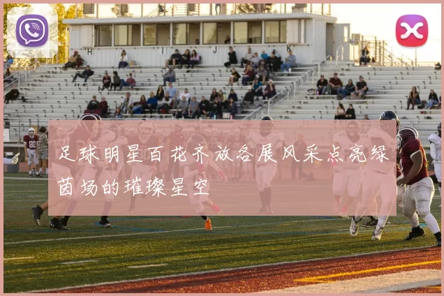 足球明星百花齐放各展风采点亮绿茵场的璀璨星空