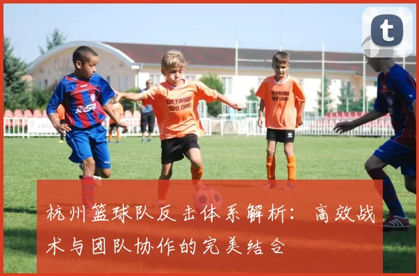 杭州篮球队反击体系解析：高效战术与团队协作的完美结合