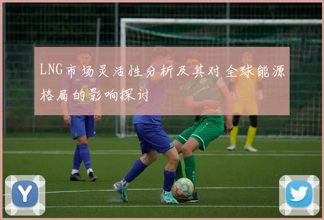 LNG市场灵活性分析及其对全球能源格局的影响探讨