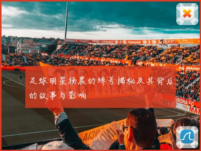 足球明星杨晨的绰号揭秘及其背后的故事与影响