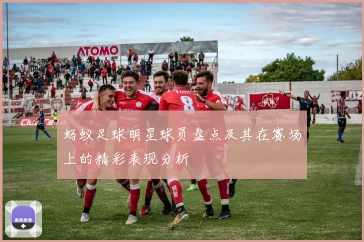 蚂蚁足球明星球员盘点及其在赛场上的精彩表现分析