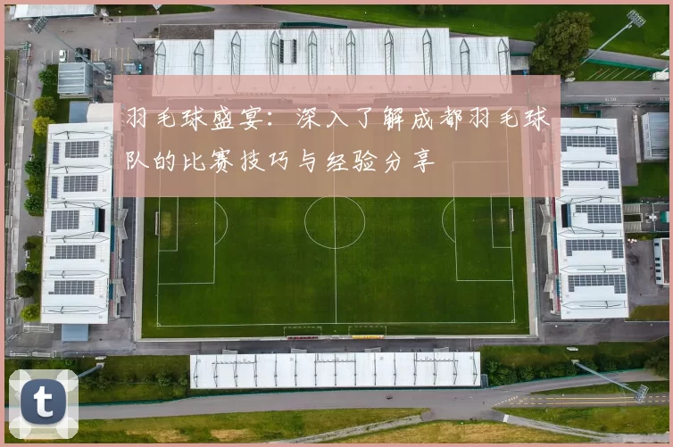 羽毛球盛宴：深入了解成都羽毛球队的比赛技巧与经验分享