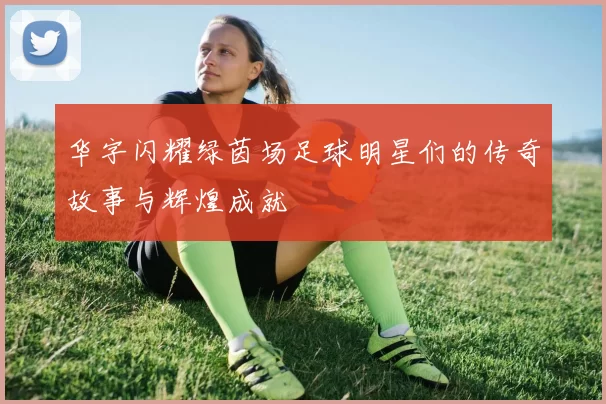 华字闪耀绿茵场足球明星们的传奇故事与辉煌成就