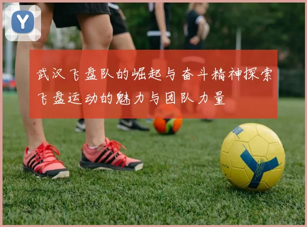 武汉飞盘队的崛起与奋斗精神探索飞盘运动的魅力与团队力量