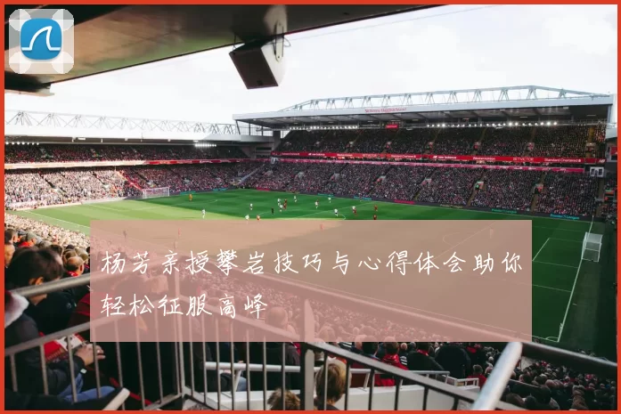 杨芳亲授攀岩技巧与心得体会助你轻松征服高峰