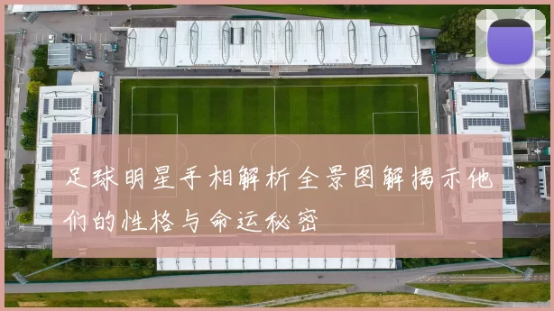 足球明星手相解析全景图解揭示他们的性格与命运秘密