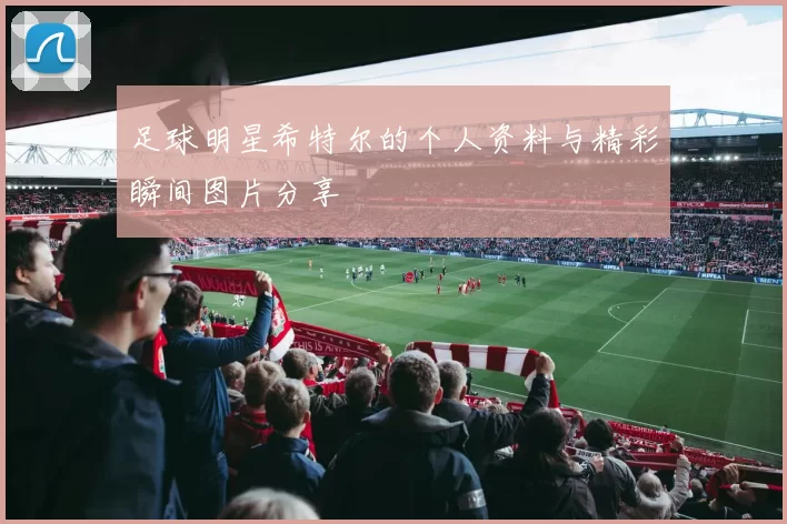 足球明星希特尔的个人资料与精彩瞬间图片分享