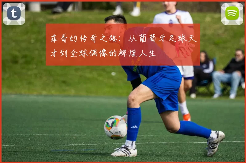 菲哥的传奇之路：从葡萄牙足球天才到全球偶像的辉煌人生