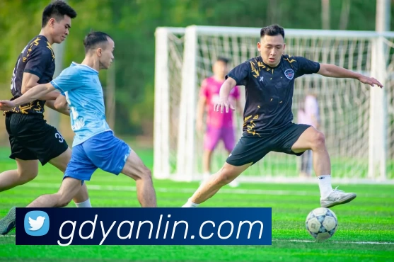 登录器